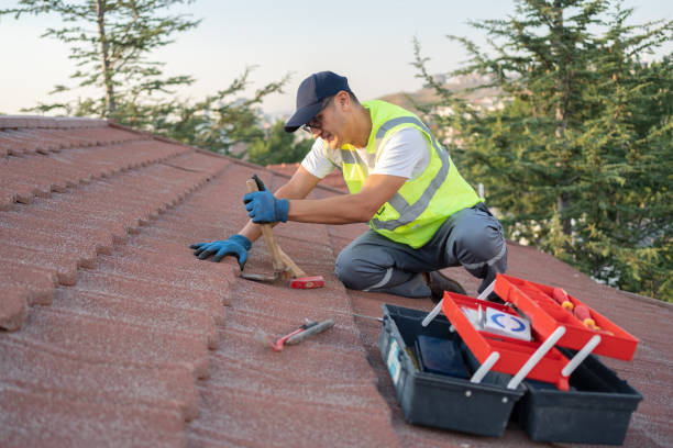 Best Roof Moss and Algae Removal  in Mandeville, LA